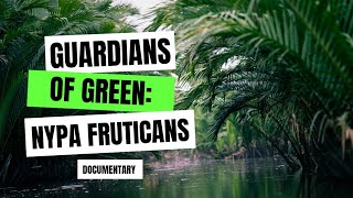 Guardians of Green Nypa Fruticans Documentary [upl. by Jacqueline]