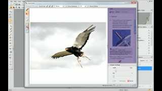 Serif PhotoPlus X6 Tutorial  Cutting Out Photos [upl. by Tullius]