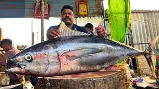 KASIMEDU 🔥 SPEED SELVAM  57 KG GIANT TUNA FISH CUTTING  IN KASIMEDU  HD VIDEO  FF CUTTTING 🔪 [upl. by Allit]