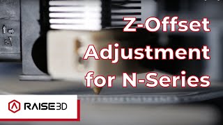 NSeries ZOffset Calibration Guide  Raise Academy [upl. by Keefer]