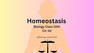 Homeostasis  Class 10th Biology Introduction and types  STBB [upl. by Hyacinthia918]