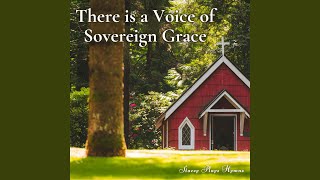 There is a Voice of Sovereign Grace Piano Solo [upl. by Ymas960]