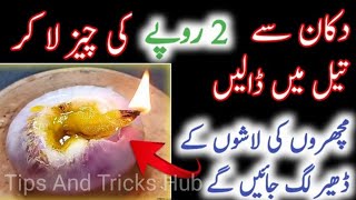 Get Rid Of Mosquitos  Machar Bhagane Ka Tarika  Mosquito Killer Homemade [upl. by Ellek597]