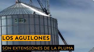 Maniobras de grúa titán con aguilón o plumín [upl. by Brockie]