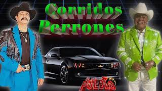 puros corridos chingones 💥duelo de dos grandes del corrido ✴️✴️ [upl. by Neddy]