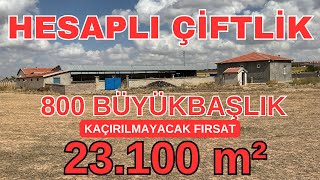 23 DÖNÜM ARAZİ İÇİ FİYAT VİDEODA  800 BÜYÜK BAŞLIK ÇİFTLİK  FIRSAT ARAZİ keşfet viparsa turkey [upl. by Leia]