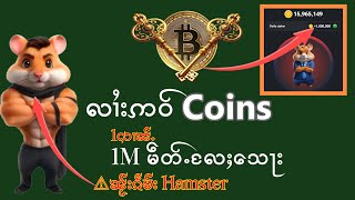 ဢဝ်သေႃးလႄႈ Coin 1လၢၼ်ႉ ၼႂ်းၵဵမ်း Hamster [upl. by Nolubez]