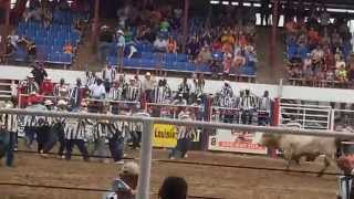 Angola Prison Rodeo 2014  Guts and Glory event  grab the poker chip [upl. by Janaye334]