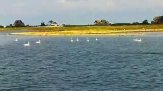 Ausfahrt Yachthafen Heiligenhafen vorbei am Graswarder von Heiligenhafen auf die weite Ostsee [upl. by Beacham909]