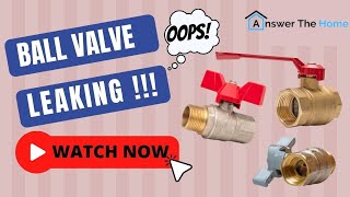 Ball Valve Leaking  A StepByStep Guide With Details [upl. by Obau]