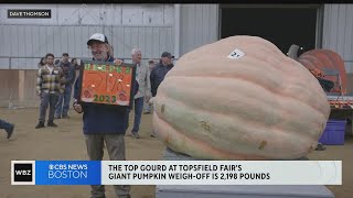 Giant pumpkin weighoff winner at Topsfield fair weighs 2200 pounds [upl. by Rowe]