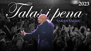 Šaban Šaulić  Talas i pena Official Audio [upl. by Arnie154]