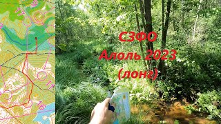 Спортивное ориентирование headcam orienteering  ЧиП СЗФО Фестиваль Алоль 2023 лонг  08072023 [upl. by Otto]