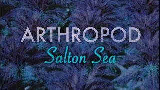 ARTHROPOD  Salton Sea Debut single  official lyric video [upl. by Ahsienaj]