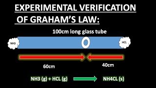 EXPERIMENTAL VERIFICATION OF GRAHAMS LAWDIFFUSION amp EFFUSIONGRAHAMS LAWCGASESCHEMISTRYYOUTUBE [upl. by Meadows]