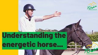 Understanding an energetic horse [upl. by Nelli347]