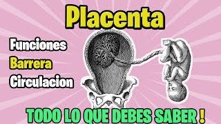 ✅PLACENTA Funciones barrera  circulación  SUPER FACIL [upl. by Merrile]