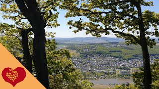 Wandern an der Mosel im Ferienland BernkastelKues [upl. by Naes]