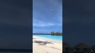 one day trip to local island 🏝️maldives relaxing vacation budgettrip [upl. by Nissy]