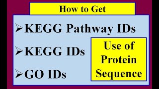 How to get GO KEGG KEGG pathway IDs [upl. by Annhoj]