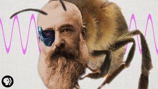 How Artist Claude Monet Was Kind Of Like a Honeybee [upl. by Emya]