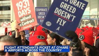 Flight attendants picket at Chicago OHare Airport demanding new contracts and higher wages [upl. by Nnairrehs]