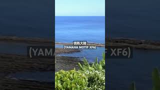 情熱大陸YAMAHA MOTIF XF6で演奏 music bgm 音楽 情熱大陸 葉加瀬太郎 instrument [upl. by Anaes]