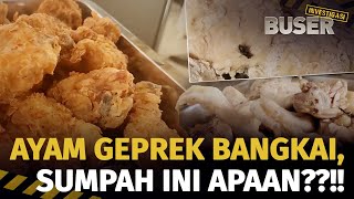 Bongkar Habis Ayam Geprek Busuk  Buser Investigasi [upl. by Ettelloc140]