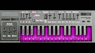 Hammond Sk1 new sound library  wwwmuzykujcom [upl. by Ahsinat]