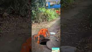 hengyang The robot not only protects the earth but also helps clean up the garbage in the well L [upl. by Ainot]