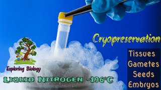 Cryopreservation உறை குளிர் பாதுகாப்பு [upl. by Yager]