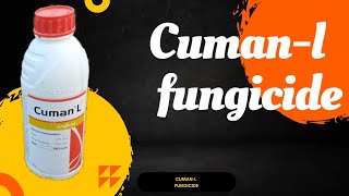 cuman l syngenta ziram  cumanl fungicide  ziram 27 SC  syngenta cumanl fungicide  Cumanl [upl. by Elsi]