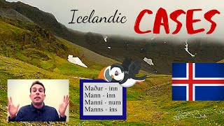 Icelandic Cases  EXPLAINED [upl. by Soalokin]