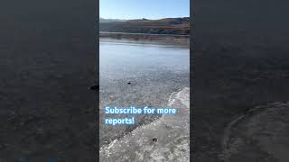 Echo Reservoir Ice Report 112024 utah fishing icefishing shorts [upl. by Marlo170]