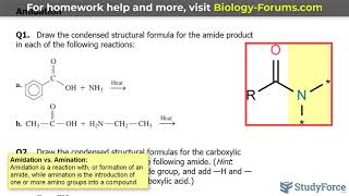 Amidation Reactions versus Amination [upl. by Jerold464]