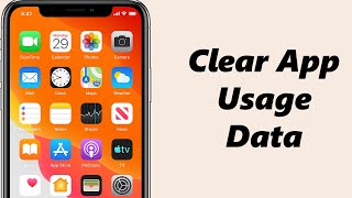 How To Clear App Usage Data On iPhone [upl. by Nygem]