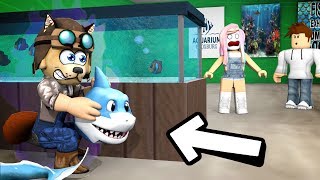 🦈 ME DISFRAZO del monstruo PARA ASUSTARLOS a todos  ROBLOX Camping [upl. by Liahkim]