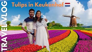 Tulip Farm  Kuekonhof  Windmill Cruise  Day Trip from Amsterdam Netherlands 🇳🇱 Europe 2024 ❤️ [upl. by Durning]