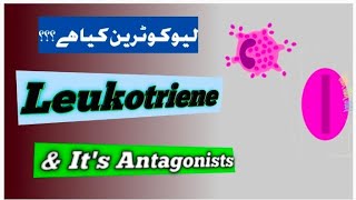 leukotriene receptor antagonists [upl. by Serle625]