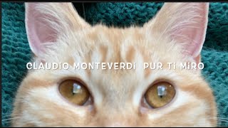 Monteverdi  Purr ti miro  Theorbo solo [upl. by Feune]