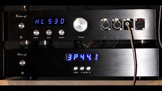 AUDIOGD R8 MKII R2R DAC FULL REVIEW [upl. by Adnalohs]