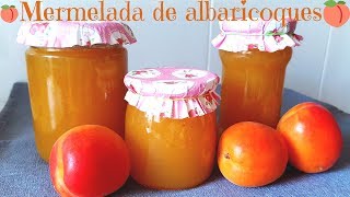 Como hacer mermelada de albaricoque fácil Receta FÁCIL y RÁPIDA [upl. by Eibbob]