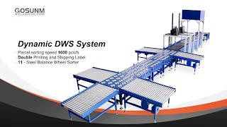 OCR Dynamic DWS swing wheel sorting line with shipping label [upl. by Cassondra798]