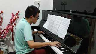 Murmures 梦中的鸟 Piano Cover by Bodhi Lim [upl. by Ellevehs]