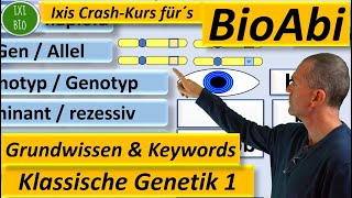 klassische Genetik 1a Grundwissen und Keywords [upl. by Eelahc]