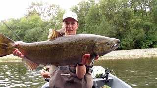 Humptulips River King Salmon Fishing 2019 Drift Boat Fishing [upl. by Celka]