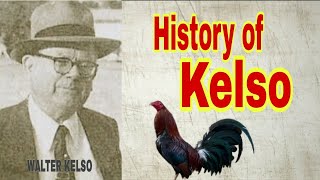 History of Kelso Gamefowl [upl. by Alyam]