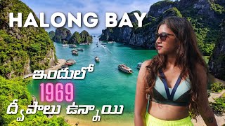 1500rs ey total islands trip కి  Halong bay vietnam  ఇందులో 1969 ద్వీపాలు ఉన్నాయి [upl. by Aicirpac]