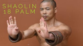 Shaolin 18 Palm [upl. by Steinke490]