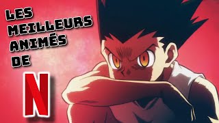 LES MEILLEURS ANIMES NETFLIX [upl. by Llewol412]